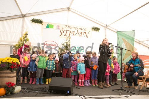 Vrnimo lepoto našim gozdovom, akcija pogozdovanja po žledu