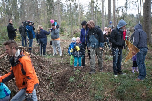 Vrnimo lepoto našim gozdovom, akcija pogozdovanja po žledu