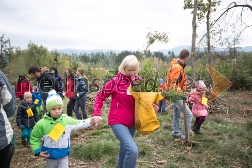 Vrnimo lepoto našim gozdovom, akcija pogozdovanja po žledu