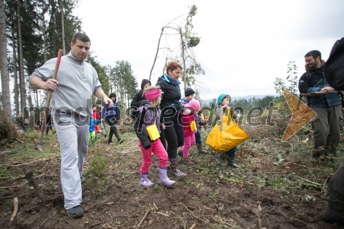 Vrnimo lepoto našim gozdovom, akcija pogozdovanja po žledu