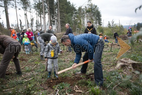 Vrnimo lepoto našim gozdovom, akcija pogozdovanja po žledu