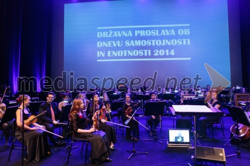 Državna proslava ob dnevu samostojnosti in enotnosti 2014