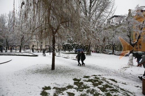 Zasnežen Slomškov trg, Maribor