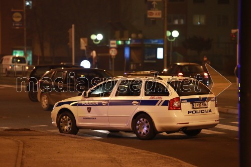 Trčila Twingo in policijsko vozilo