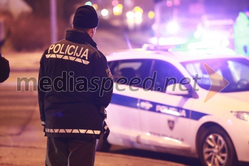 Trčila Twingo in policijsko vozilo