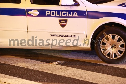 Trčila Twingo in policijsko vozilo