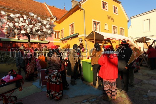 Dornavski cigani, Muzikafe, Pust na Ptuju