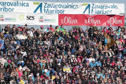 VIP tribuna, Zlata lisica 2015