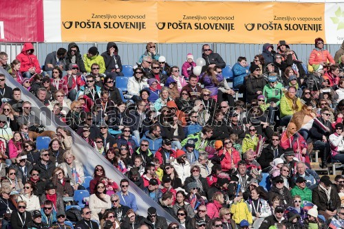 VIP tribuna, Zlata lisica 2015