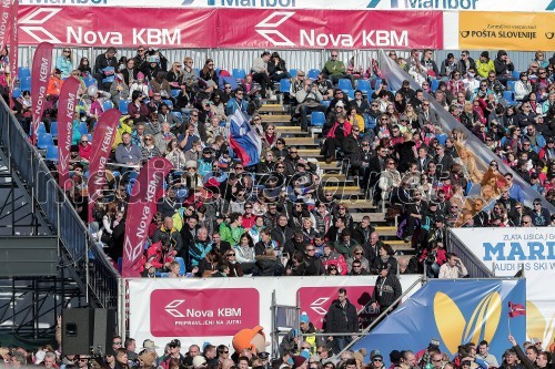 VIP tribuna, Zlata lisica 2015