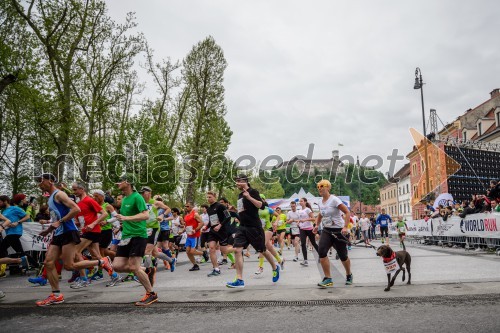 Wings For Life World Run 2015