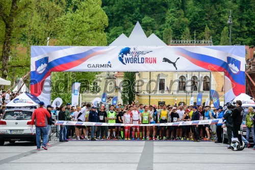 Wings For Life World Run 2015