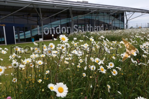 London Southend Airport, Velika Britanija