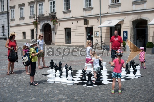 Boj za krono, zimski športni junaki igrajo šah