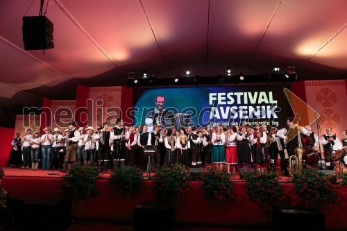 Festival Avsenik 2015