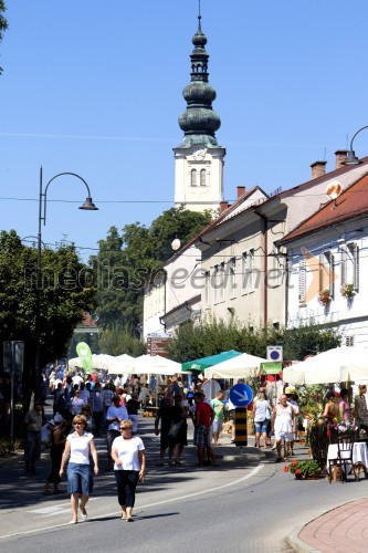 Bogračfest 2015, Lendava