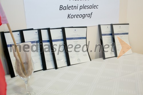 Prva podelitev certifikatov za NPK Plesalec in Koreograf