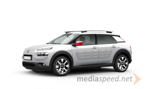 C4 Cactus Gospodična