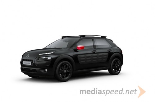 C4 Cactus Gospodič