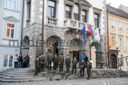 Martinovanje v Ljubljani 2015