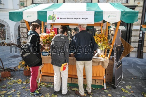 Martinovanje v Ljubljani 2015