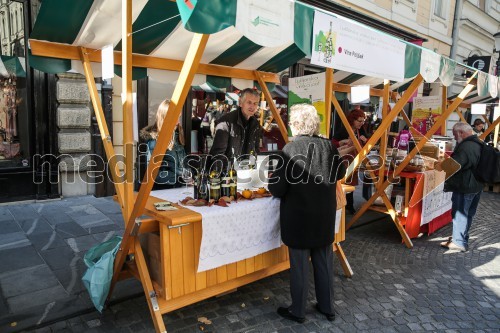 Martinovanje v Ljubljani 2015