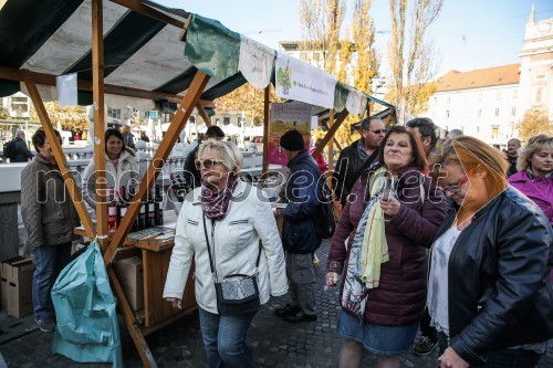 Martinovanje v Ljubljani 2015