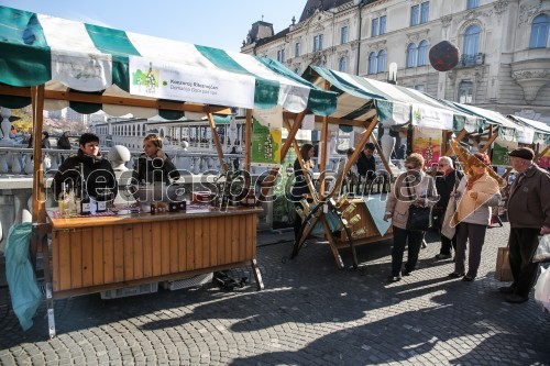 Martinovanje v Ljubljani 2015