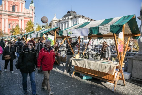 Martinovanje v Ljubljani 2015