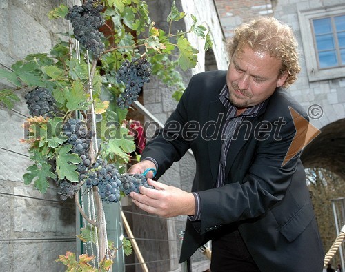 Darko Brlek, direktor Festivala Ljubljana