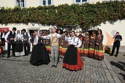 Nastop Akademske folklorne skupine KUD Študent Maribor in vokalne skupine Srake