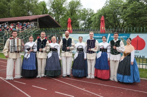 Akademska folklorna skupina Študent