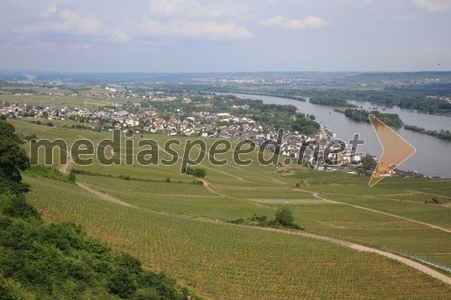 Rüdesheim am Rhein