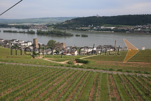 Rüdesheim am Rhein