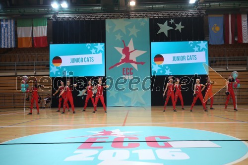 Junior Cats