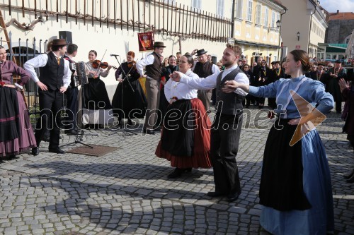 Akademska folklorna skupina Študent