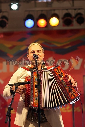 Boštjan Konečnik, harmonikar