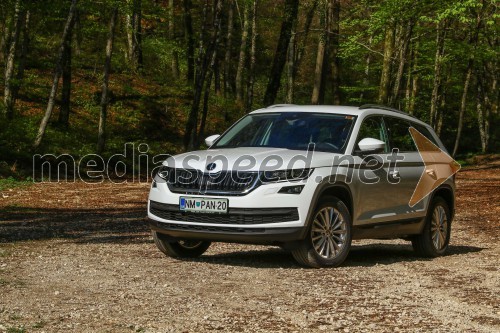 Skoda Kodiaq, Slovenska predstavitev 