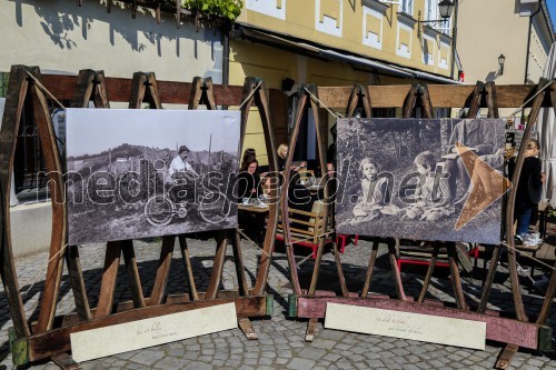 10. obletnica Hiše stare trte