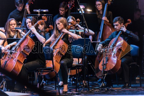 Simfonični orkester Glasbene šole Marjana Kozine iz Novega mesta