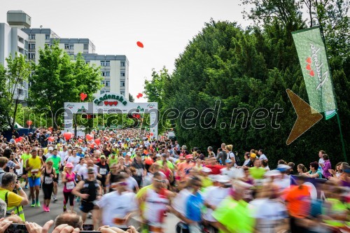 Maraton treh src 2017 