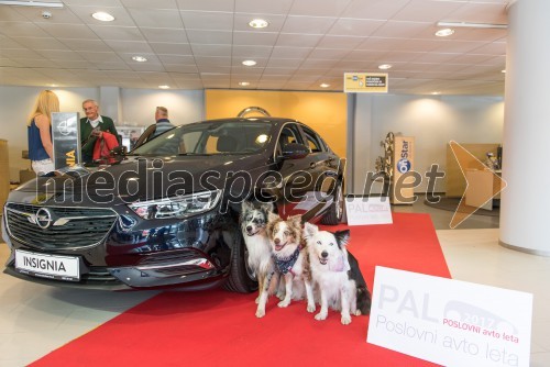 Opel Insignia ima občudovalce tudi med štirinožnimi kosmatinci