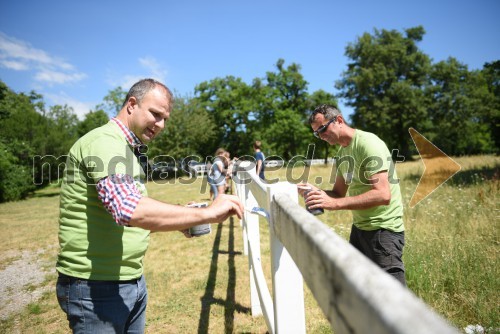 Barvanje lipiških ograj v Kobilarni Lipica