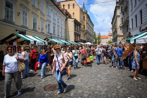 Ljubljanska vinska pot