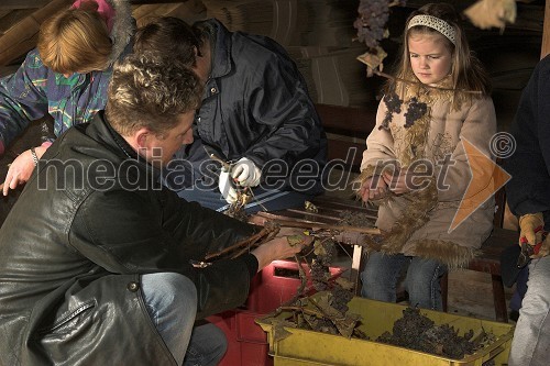 Smolčkova trgatev 2008: Danilo Steyer, Steyer vina s hčerko Vanejo in zaposleni