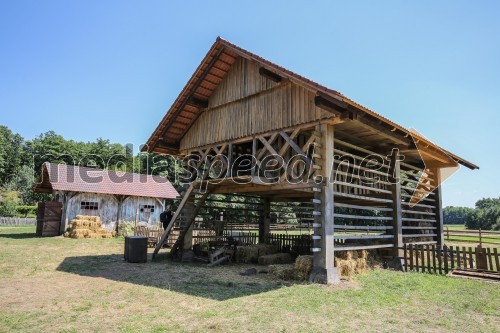 Kmetija, predstavitev lokacije