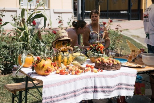 Bogračfest 2017