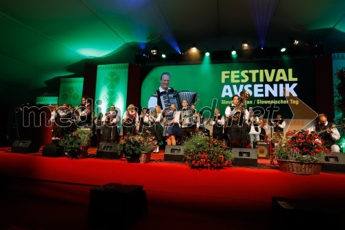Festival Avsenik 2017