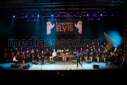 I remember Elvis, koncert