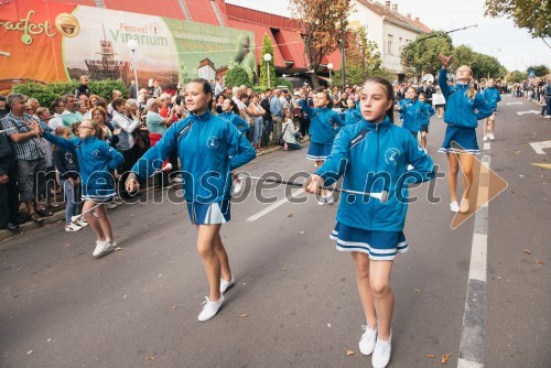 Lendavska trgatev 2017